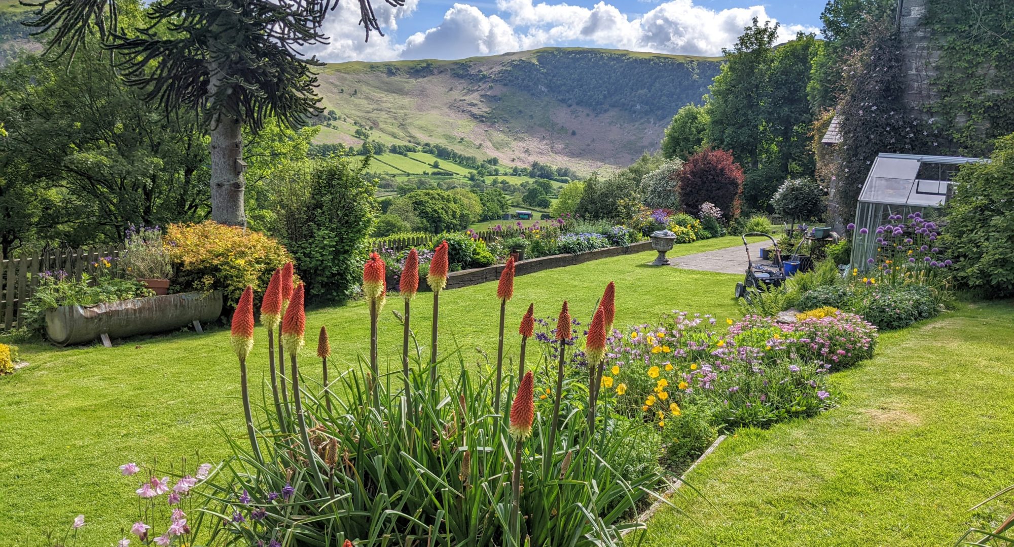 A flowering garden and one of our cottages near Brecon Beacons