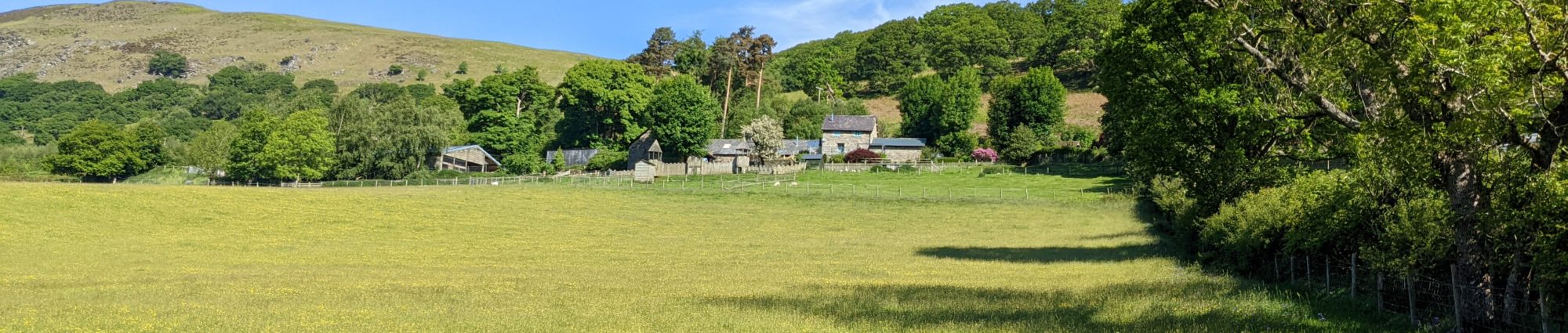 A field on the farmstay to the rear of the Elan Valley cottages