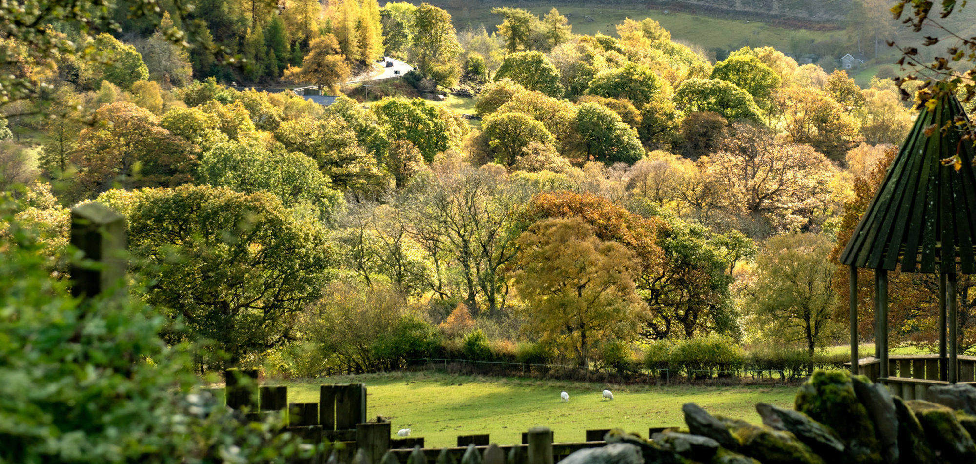 A countryside view from the Mid Wales holiday cottages and lodges