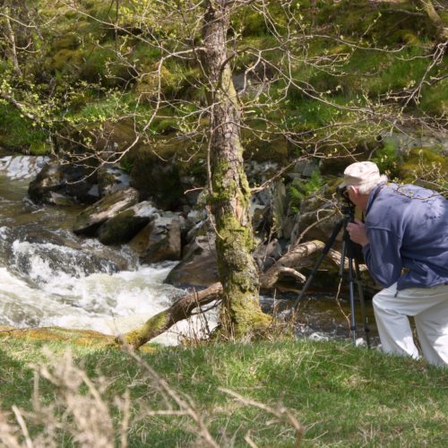 Wildlife photographer taking pictures while on a staycation in Wales