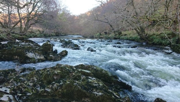 The river that flows near our staycation in Wales farmstay cottages and lodges